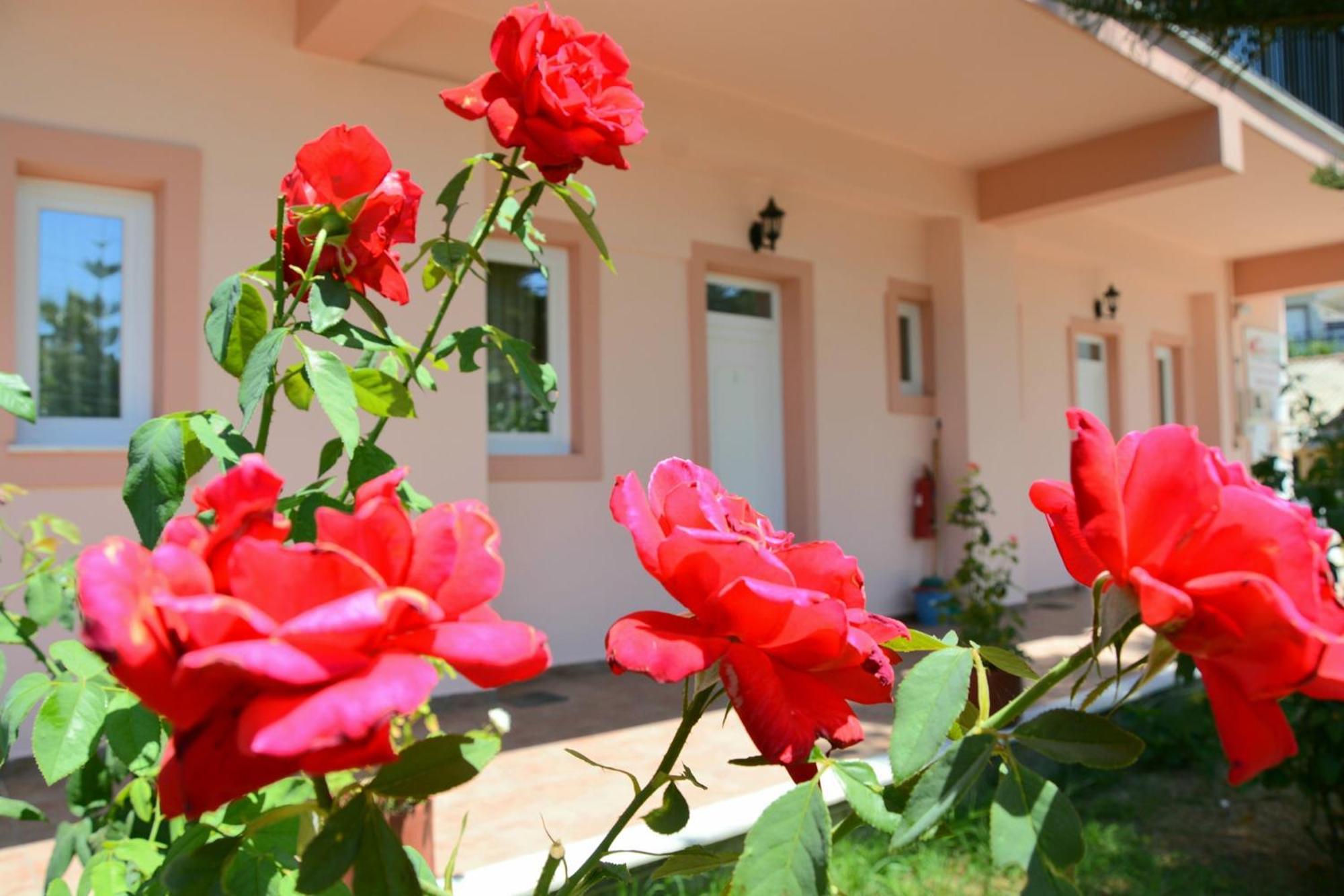 Red Rose Garden Apartment Tsilivi  Luaran gambar