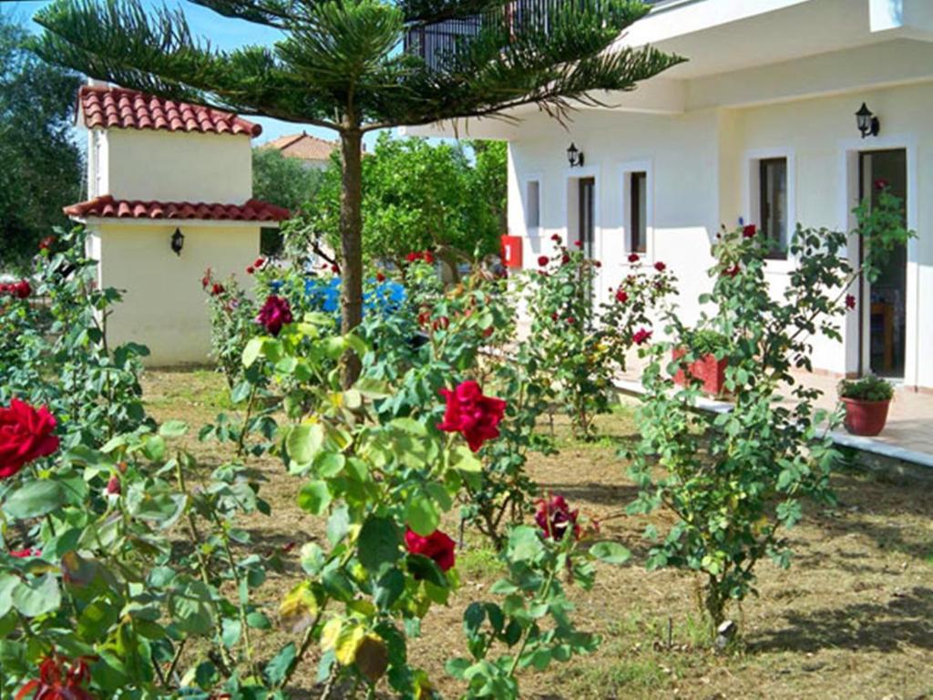 Red Rose Garden Apartment Tsilivi  Luaran gambar